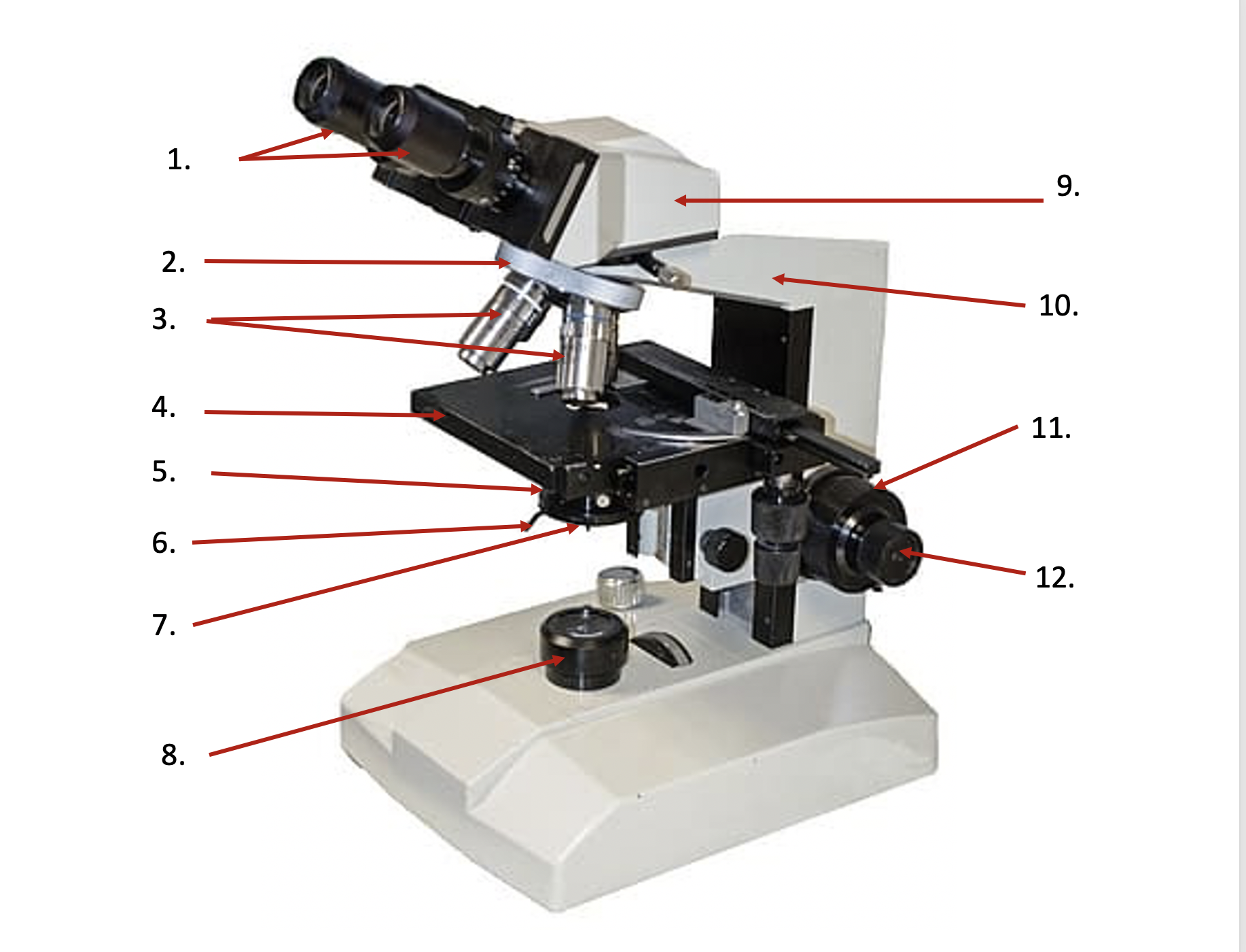 Lab 2 In Person Procedure